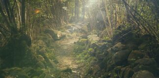 Jak wpisać wycieczkę do dziennika Vulcan?