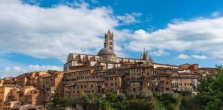 Jak napisać plan rozwoju firmy?