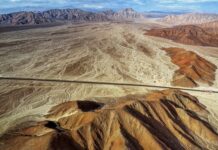 Ile kosztuje Ulga na start?