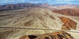 Ile kosztuje Ulga na start?