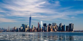 Co wchodzi w skład nowych mediów?