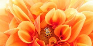 Jak efektywnie pracować w biurze?