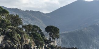 Ile kosztuje zrobienie landing page?