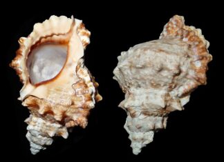 Jak stać się systematycznym?