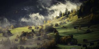 Jak wyrobić poranna rutynę?