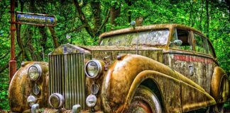 Co wpływa na wartość marki?