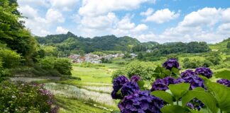 Czy tabata jest dla początkujących?