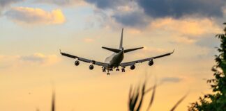 Jak zmienić swoje podejście do jedzenia?