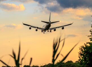 Jak zmienić swoje podejście do jedzenia?