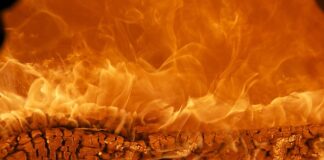 Jak wyliczyć wartość marki?