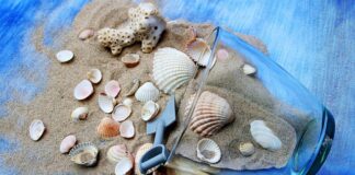 Ile razy w tygodniu zajęcia fitness?