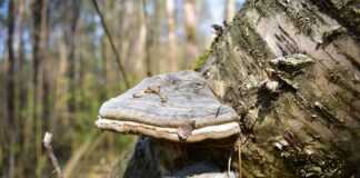 Co lepsze niż Tinder?