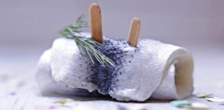 Czym kręcić filmy?