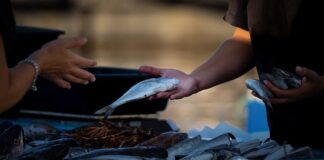 Jak sprzedawać kursy językowe?