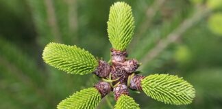 Czego może brakować w związku?