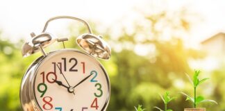 Na czym polega zarządzanie marka?