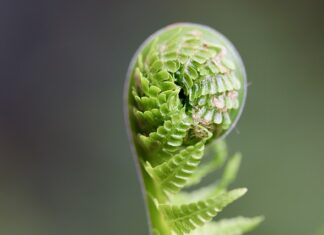 Jak rozwijać się muzycznie?