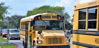 Czy pedagog szkolny może chodzić na zastępstwa?