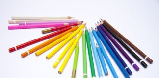 Czy da się rysować w Canvie?