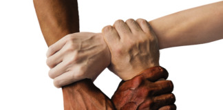 Jak zbudować społeczność?