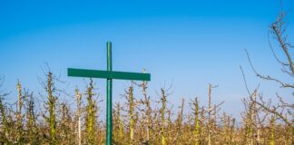 Kto pisze regulamin sklepu internetowego?