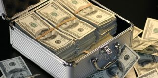 Ile zarabia junior pR?