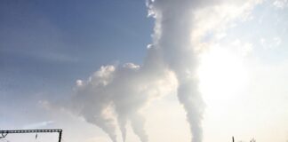 Jakie są branżę w Polsce?