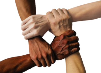 Jak budować społeczność wokół marki?