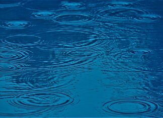 Co ma wpływ na moją dalszą drogę kształcenia?