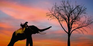 Gdzie zawierać nowe znajomości?