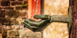 Jakie są funkcje biznesplanu?