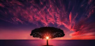 Czy na zoomie widać nagrywanie ekranu?