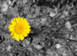 Jak oczyścić organizm z nikotyny?