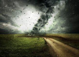 Od czego zacząć zmianę nawyków żywieniowych?