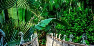 Jak wypisać się z kursu na Moodle?