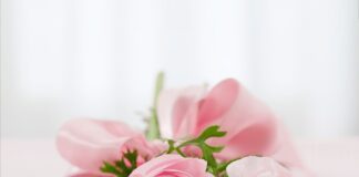 Jaki program do układania planu lekcji?