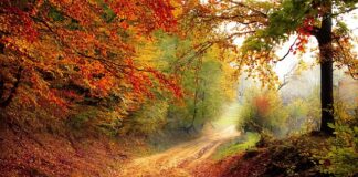 Do którego roku życia rosną mięśnie?