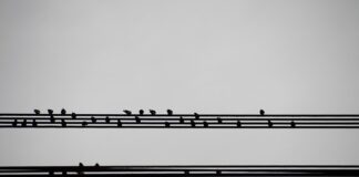 Co powinno zawierać podsumowanie biznesplanu?