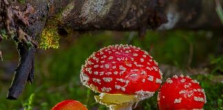 Kiedy praca staje się toksyczna?