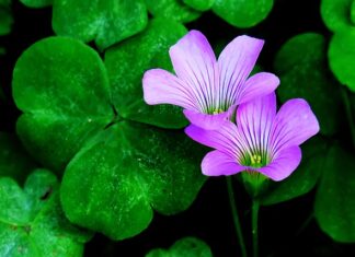 Co zrobić aby przyciągnąć klientów?