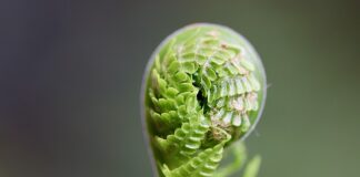 Jak rozwijać się w relacji?