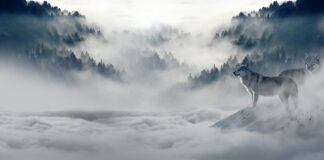 Co wpływa na złą atmosferę w pracy?