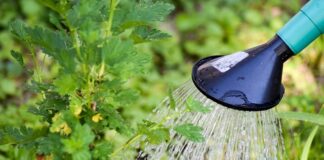 Co zrobić aby nie zalać brzucha na masie?