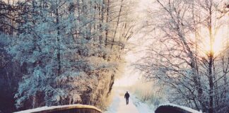 Co ile dni powinno się ćwiczyć?