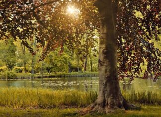 Jak ćwiczyć żeby się Wyrzeźbić?